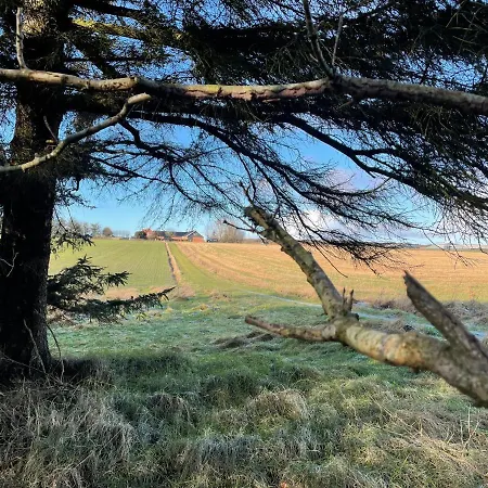 Couette-café Holoftet Bb 3*