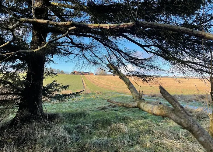 Bed and breakfast Holoftet Bb 3*